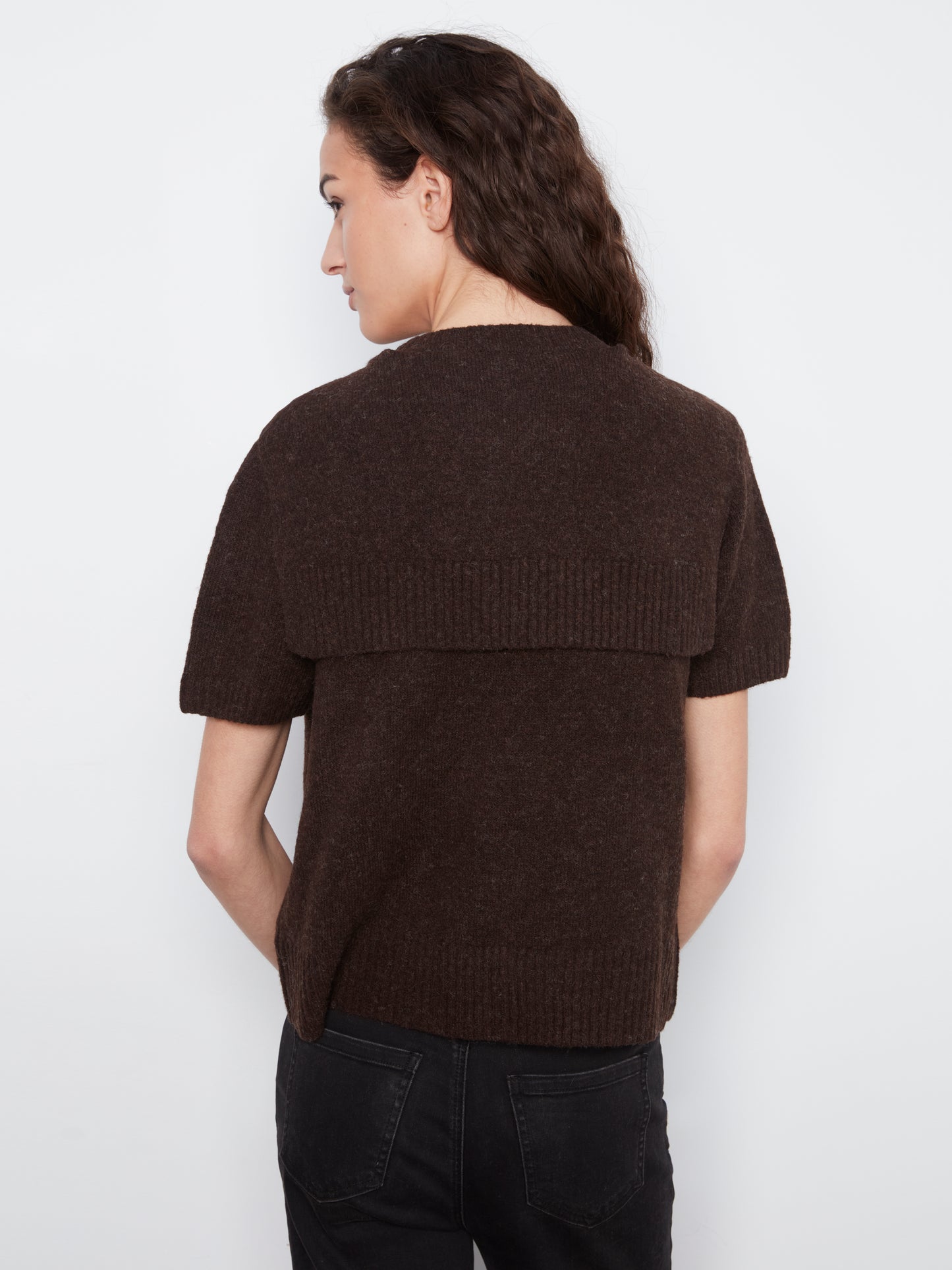 Charlie B Short Sleeve Crew Neck Sweater w/Combined Sleeves Detail Coffee C2069-690C-413