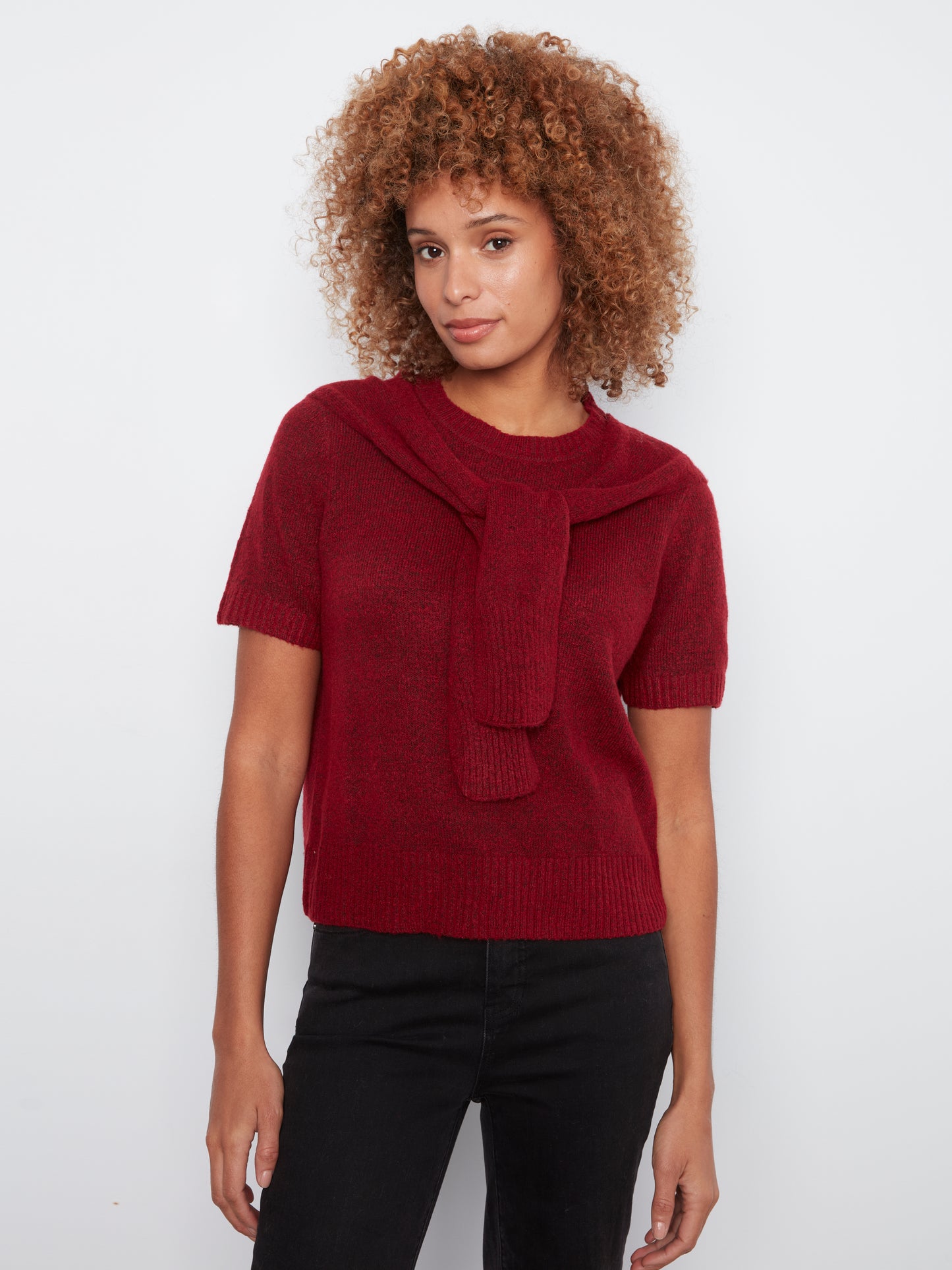 Charlie B Short Sleeve Crew Neck Sweater w/Combined Sleeves Detail Equestrian C2069-690C-307