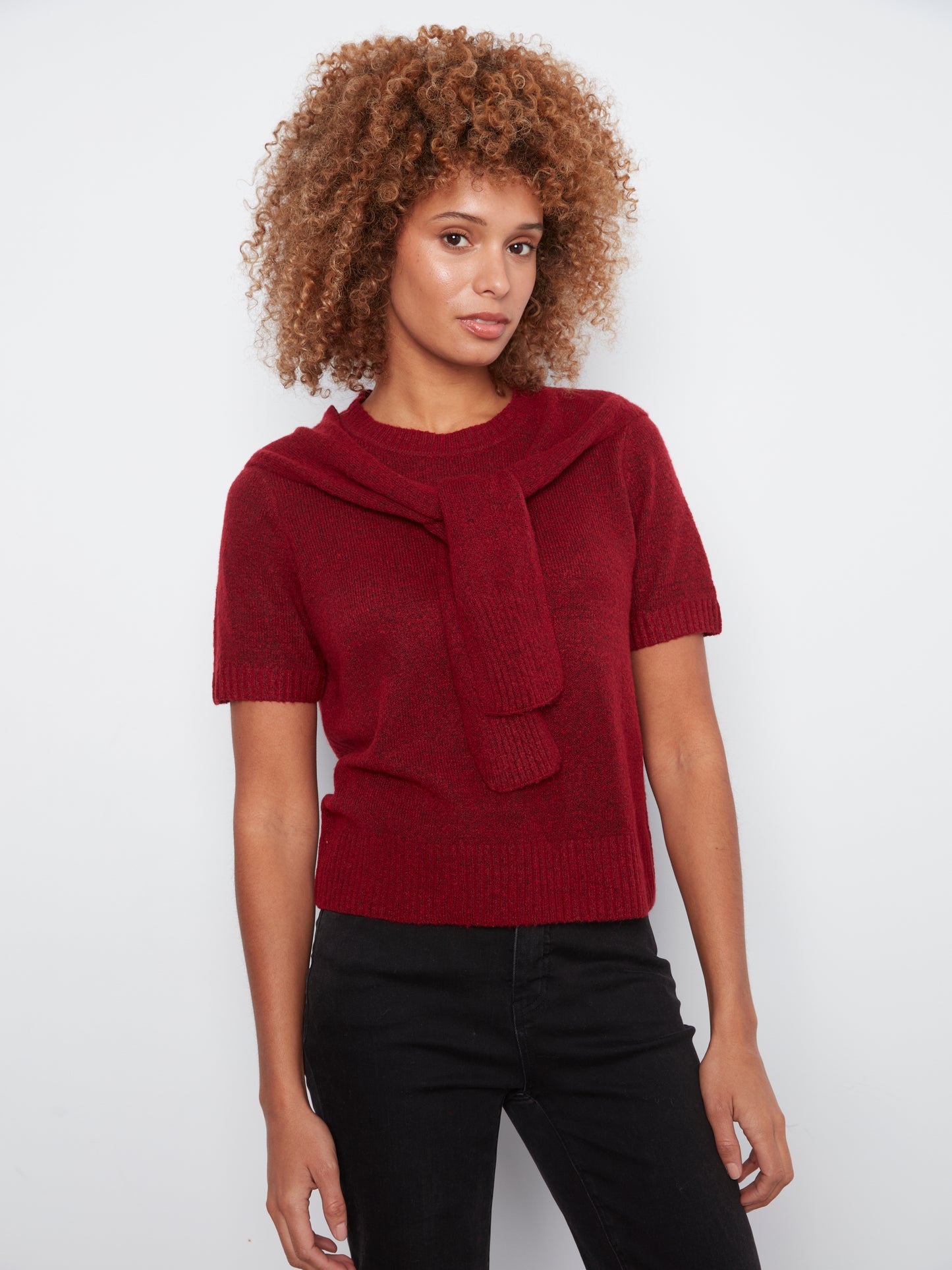 Charlie B Short Sleeve Crew Neck Sweater w/Combined Sleeves Detail Equestrian C2069-690C-307