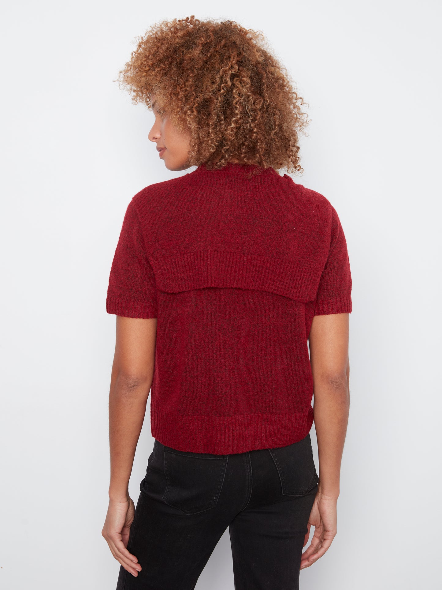 Charlie B Short Sleeve Crew Neck Sweater w/Combined Sleeves Detail Equestrian C2069-690C-307
