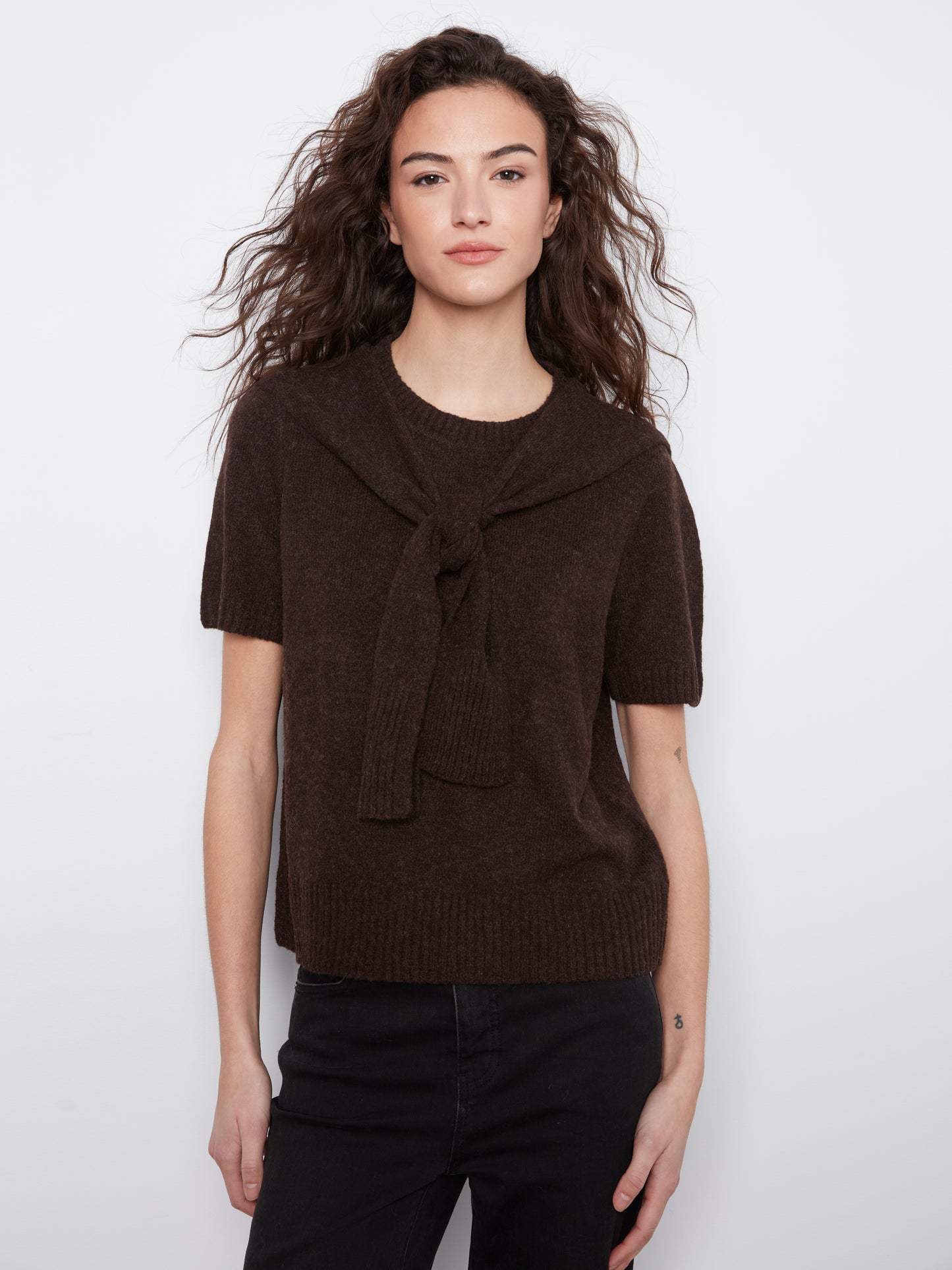 Charlie B Short Sleeve Crew Neck Sweater w/Combined Sleeves Detail Coffee C2069-690C-413