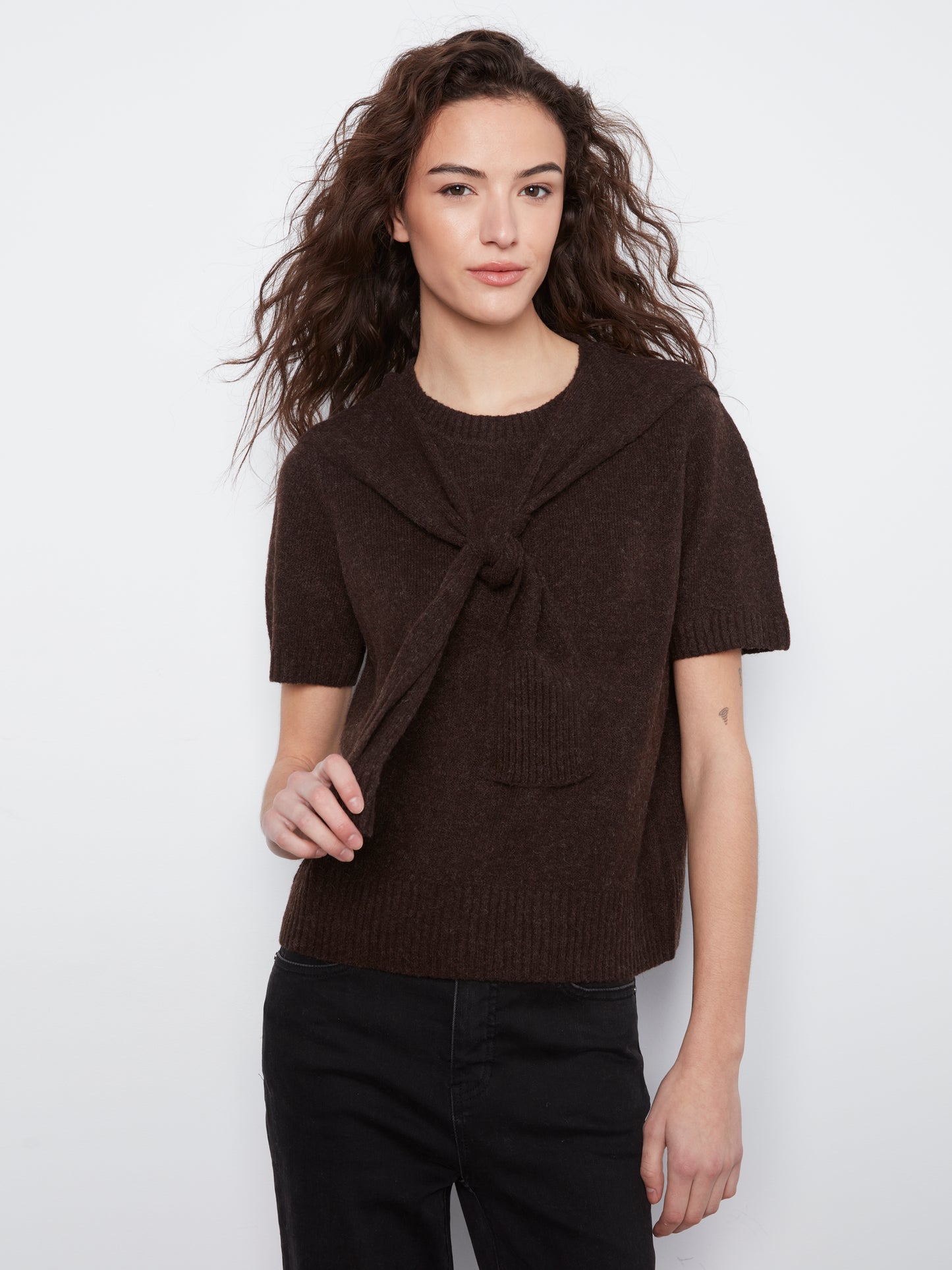 Charlie B Short Sleeve Crew Neck Sweater w/Combined Sleeves Detail Coffee C2069-690C-413