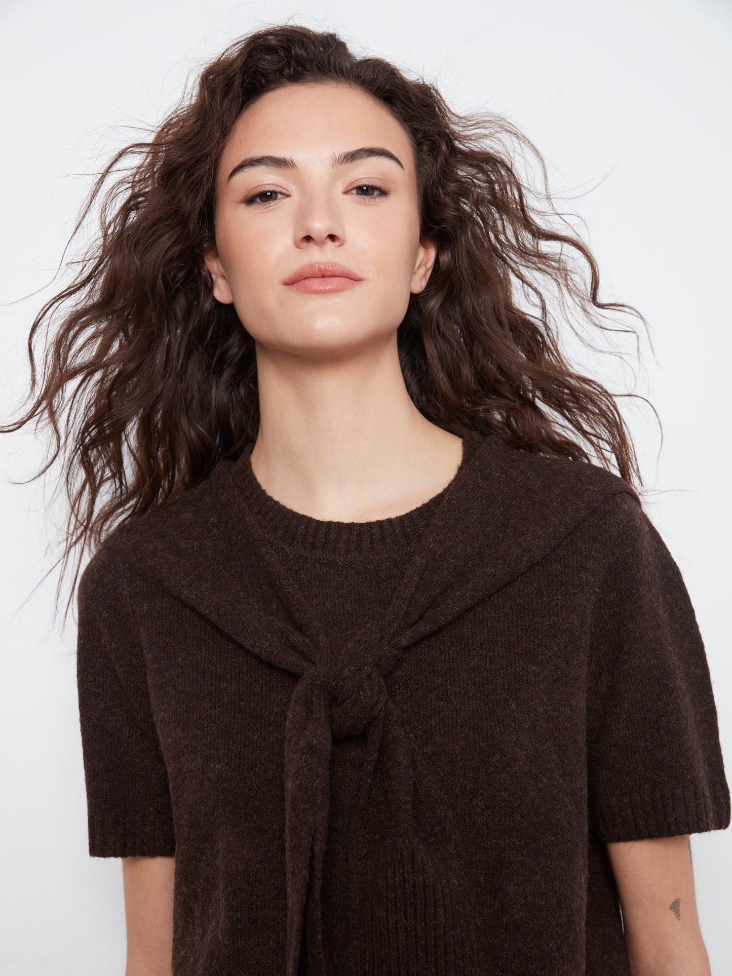Charlie B Short Sleeve Crew Neck Sweater w/Combined Sleeves Detail Coffee C2069-690C-413