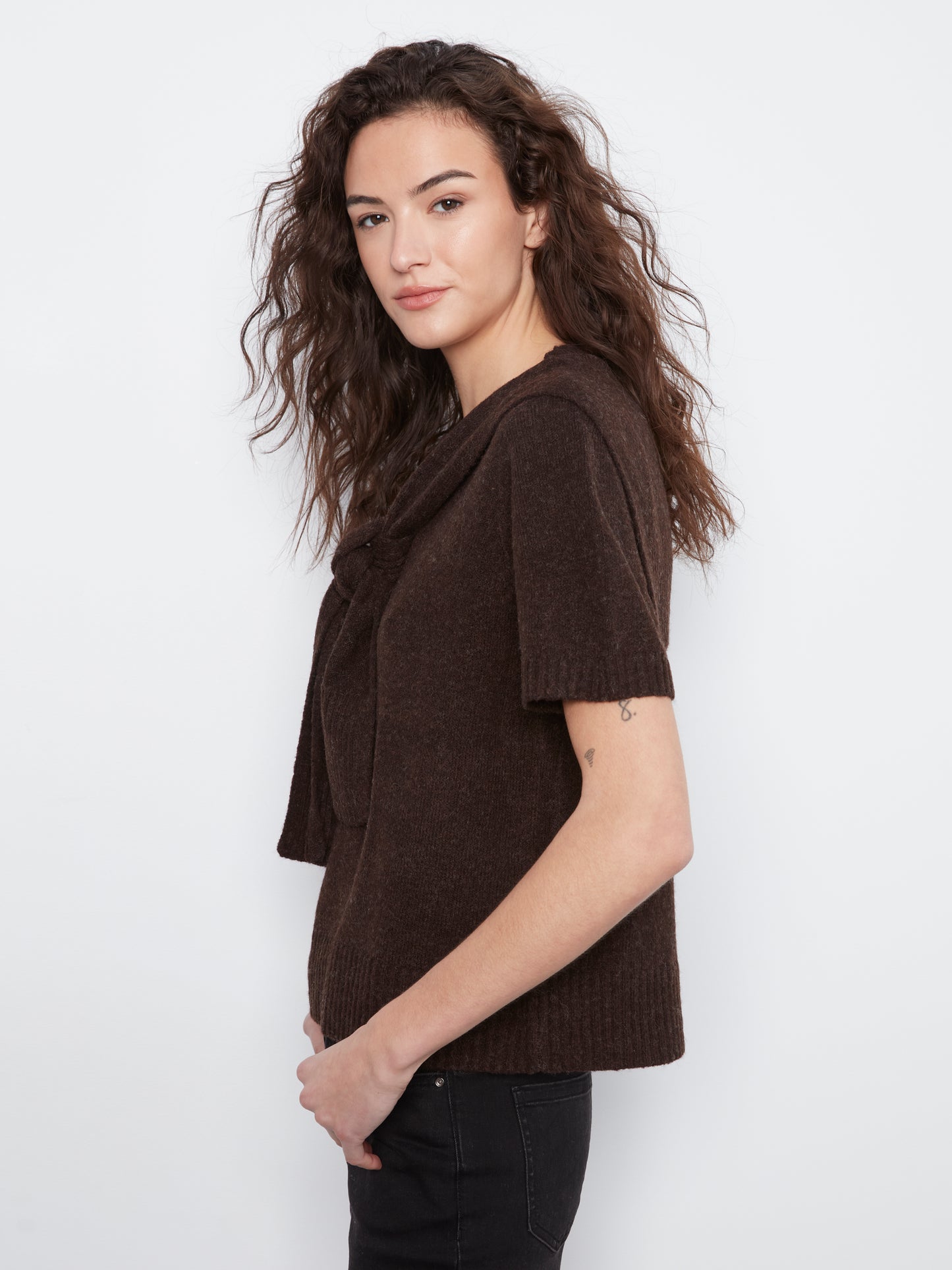 Charlie B Short Sleeve Crew Neck Sweater w/Combined Sleeves Detail Coffee C2069-690C-413